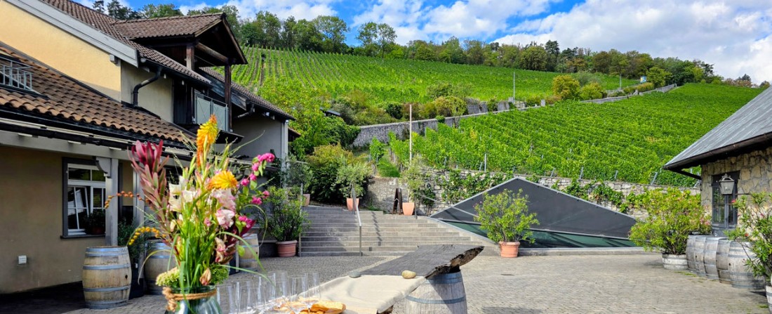 Weingut am Stein, W&uuml;rzburg