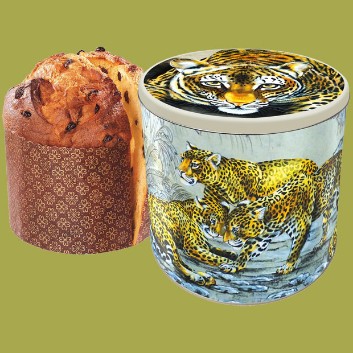 Rolf Knie Panettone, Edition 2025