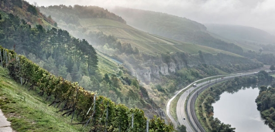 Weinreise Franken - W&uuml;rzburg, Vinothek W&auml;spi, Hombrechtikon