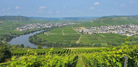 Wein- und Genussreise Mosel mit der Vinothek W&auml;spi