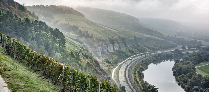 Weingut am Stein, Franken