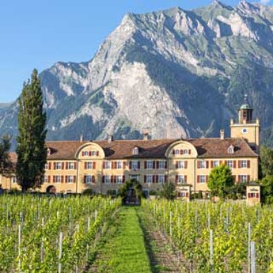 Degustation, Weingut Schloss Salenegg
