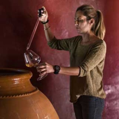 Degustation - Spanische Weine