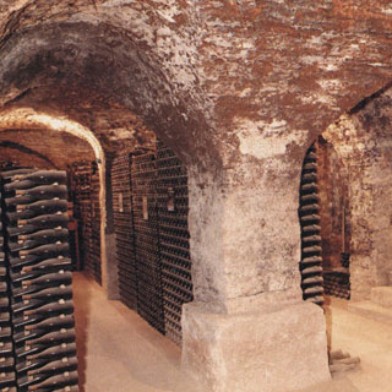 Donnerstag-Weinrunde - Faszinierender Burgunder