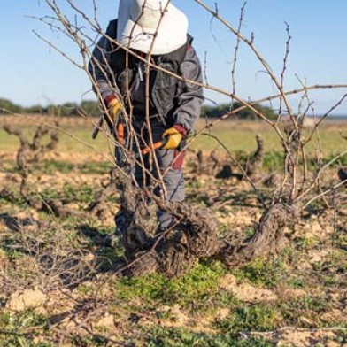 Donnerstag-Weinrunde - Spanien
